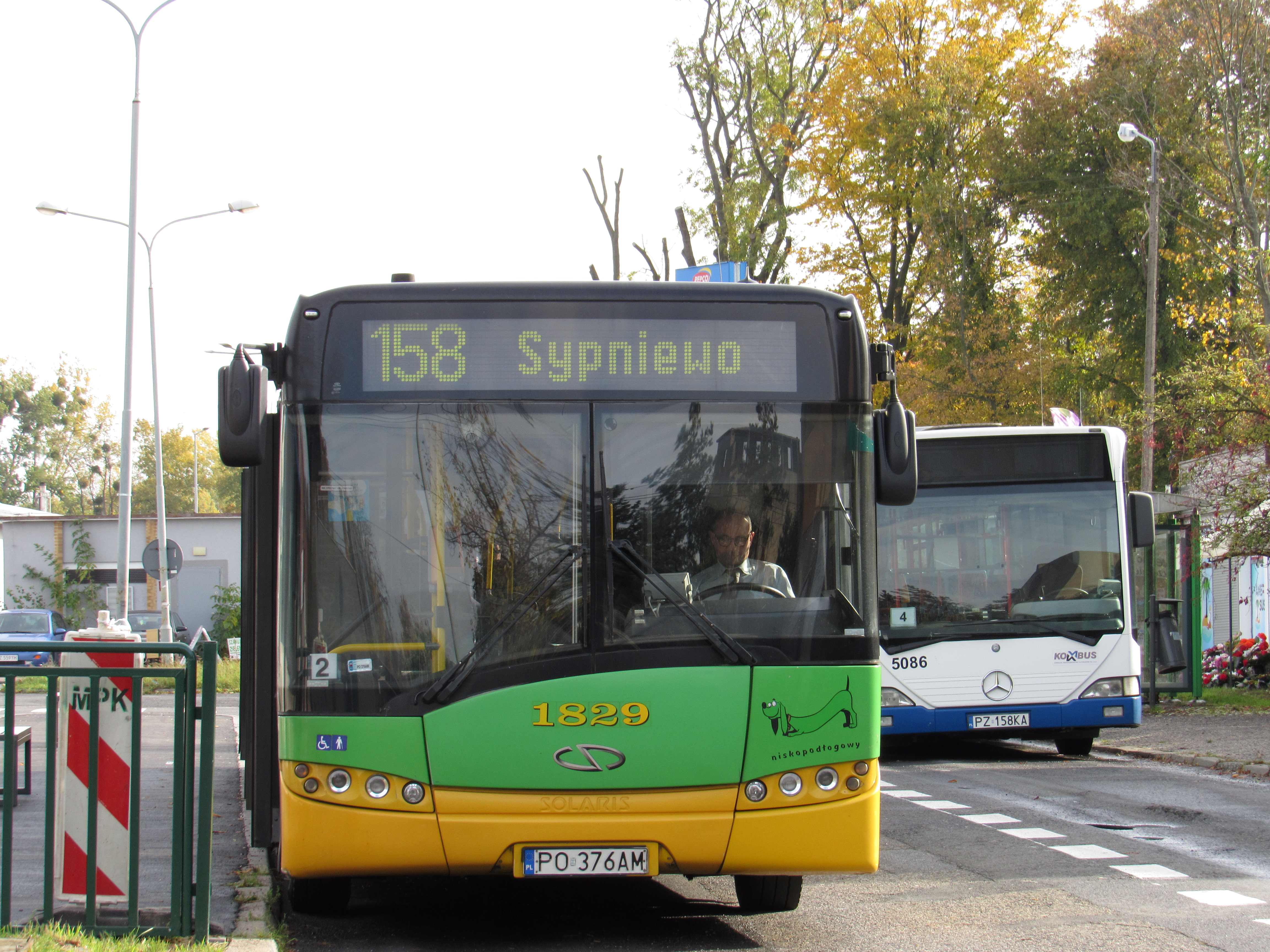 Linie nr 158, 194, 527 oraz 221 - zmiana lokalizacji przystanków Tarnobrzeska oraz Czernichowska 