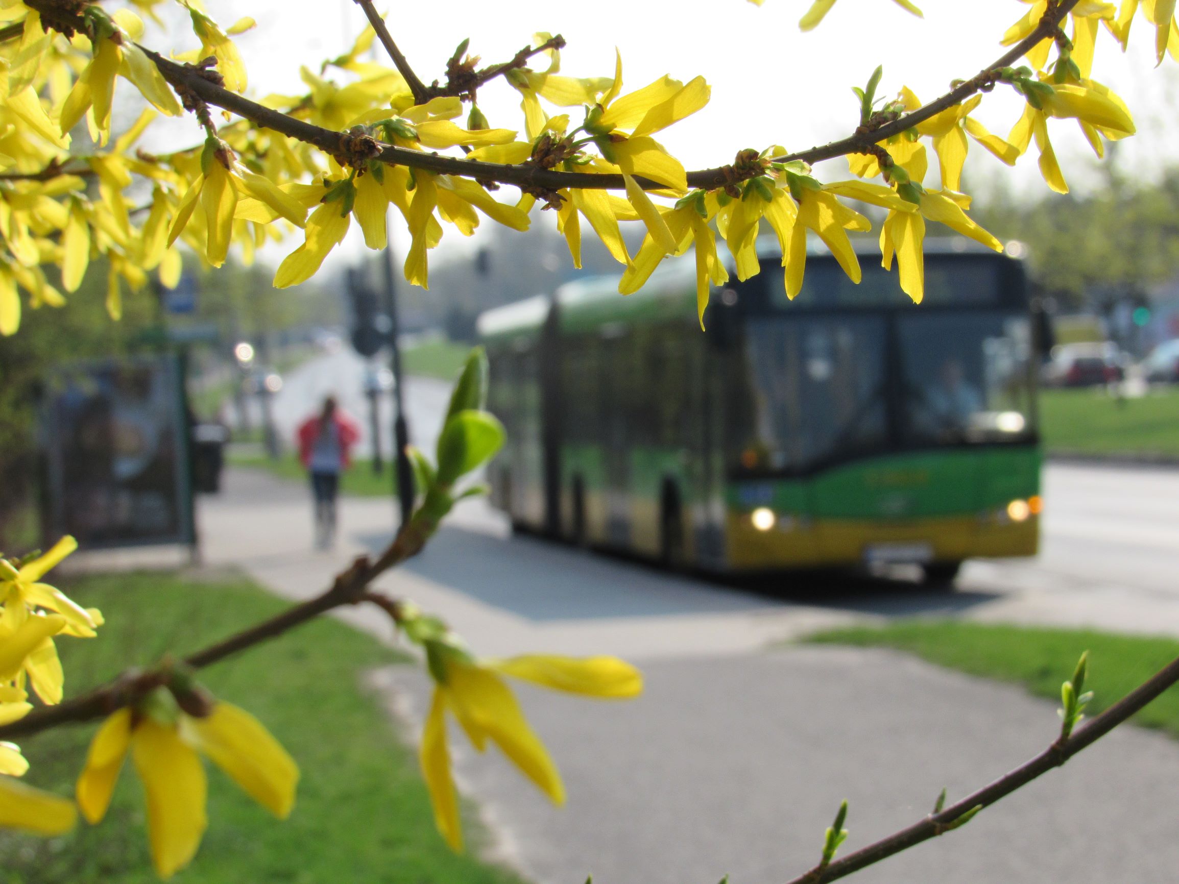 Transport publiczny ZTM w Wielkanoc 2020 