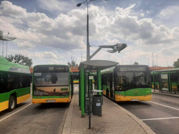Autobus linii nr 180 i 163