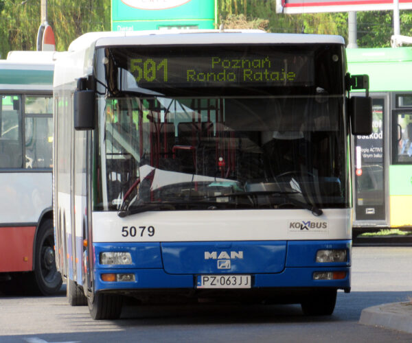 autbus linii nr 501