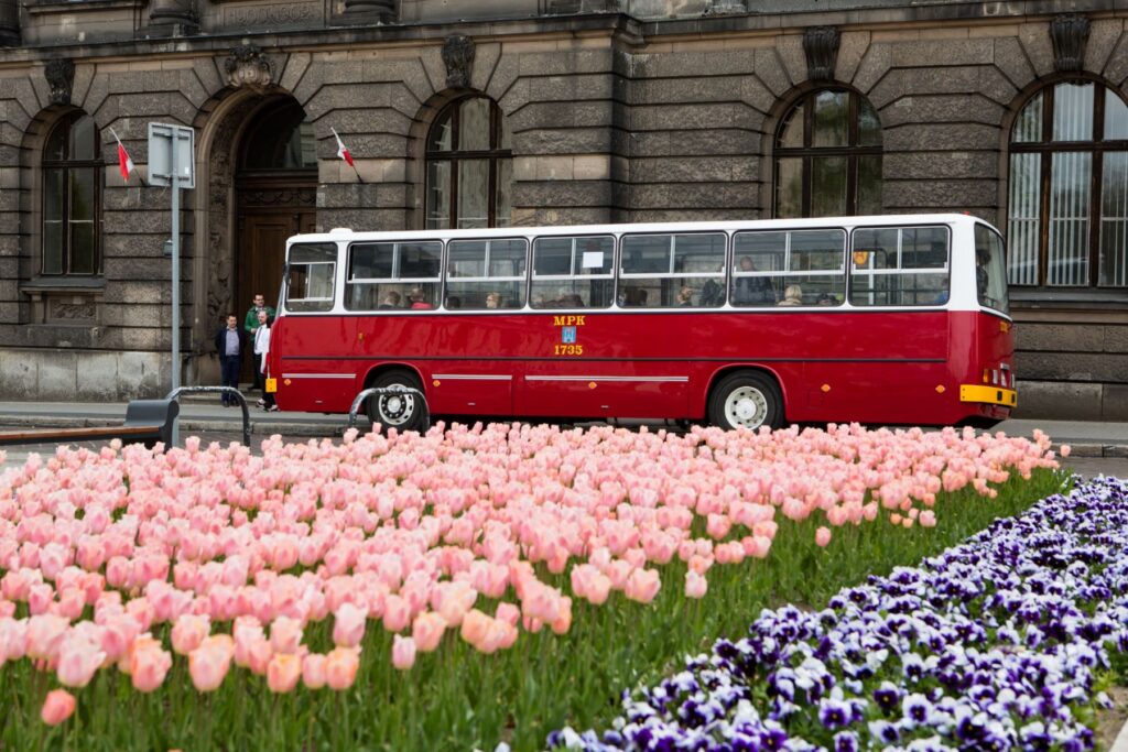 Autobus popularny Ogórek