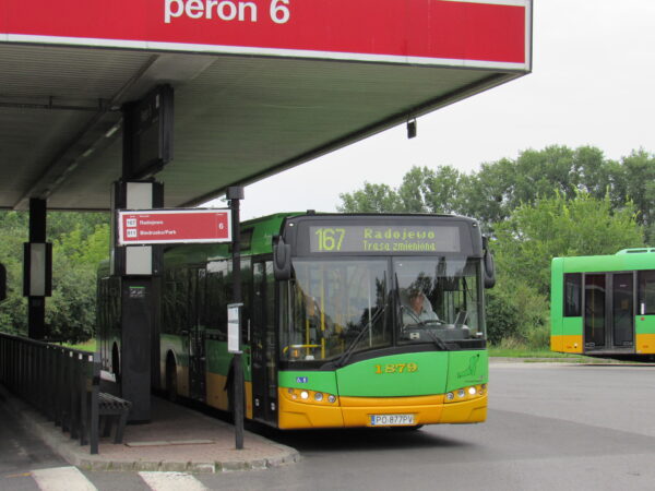 Autobus linii nr 167