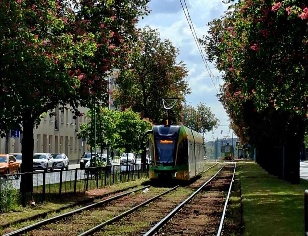 Tramwaj w Poznaniu