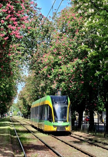 tramwaj linii nr 1