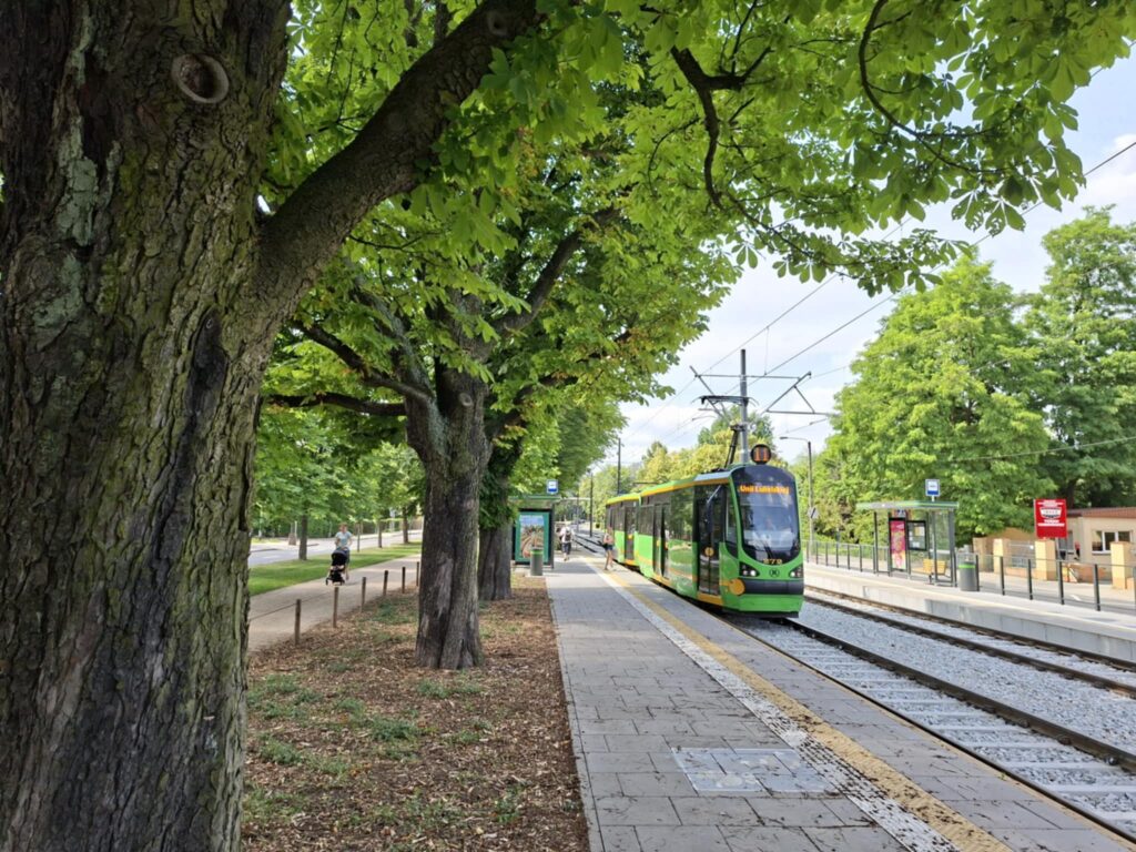 Tramwaj linii nr 11