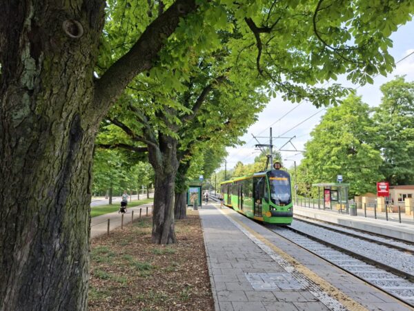 Tramwaj linii nr 11