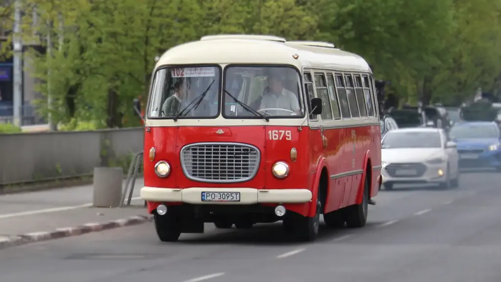 autobus ogórek